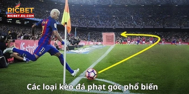 Giới thiệu các loại kèo phạt góc cược thủ không thể bỏ lỡ tại RIC BET.