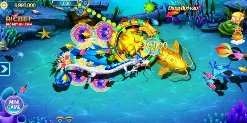 Cách tham gia bắn cá RICBET cực dễ dàng dành cho tân thủ.