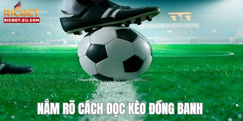 Hiểu rõ cách đọc kèo chơi để có cơ hội nhận thưởng cực lớn. 